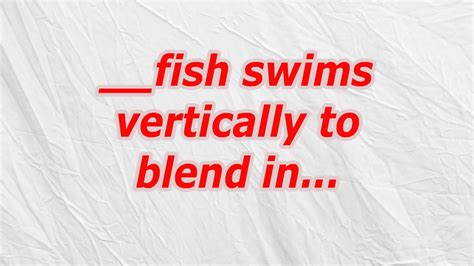 what type of fish is dory|Absolved of sins CodyCross Answer.